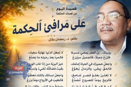 على مَرافِئِ الحِكمة