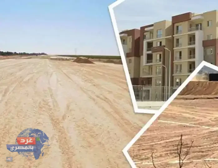 «بيت الوطن» تقفز حتى 150%