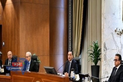 تخصيص 4317 فدان