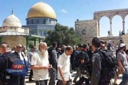 تحت حماية بن غفير.. أكثر من 2300 مستوطن يقتحمون باحات المسجد الأقصى منذ الصباح