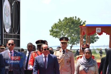 التعاون المصري التنزاني