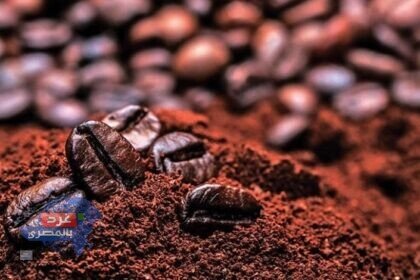 شعبة البن