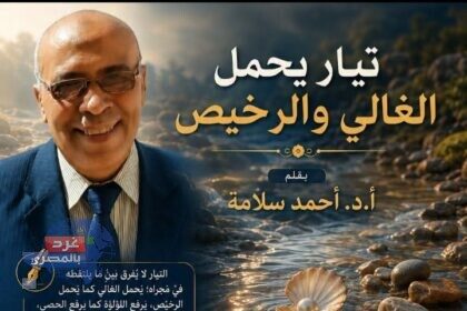 تيار يحمل الغالي والرخيص