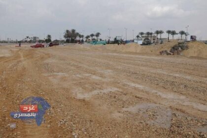 بوابة الاستثمار الأجنبي