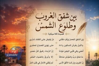 بين شفق الغروب وطلوع الشمس