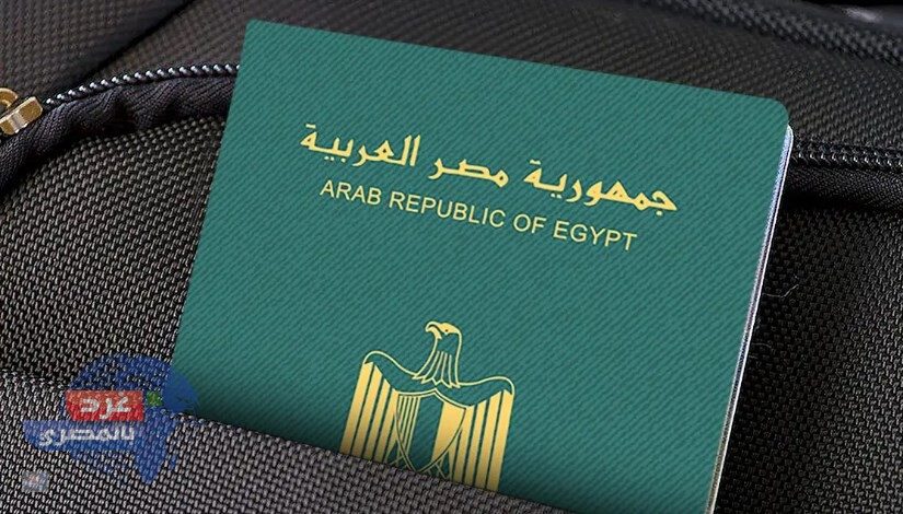 نماذج بيومترية للجوازات الدبلوماسية