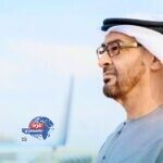 هجمات سيبرانية منظمة