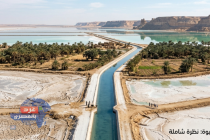 أزمة مياه واحة سيوة
