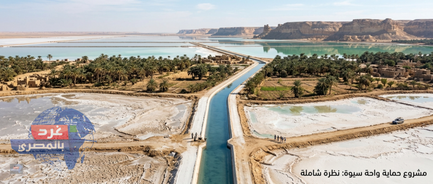 أزمة مياه واحة سيوة
