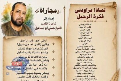 مجاراة
