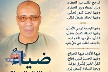 ضياءٌ في ظلال الحياة