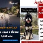 كلاب ولكن