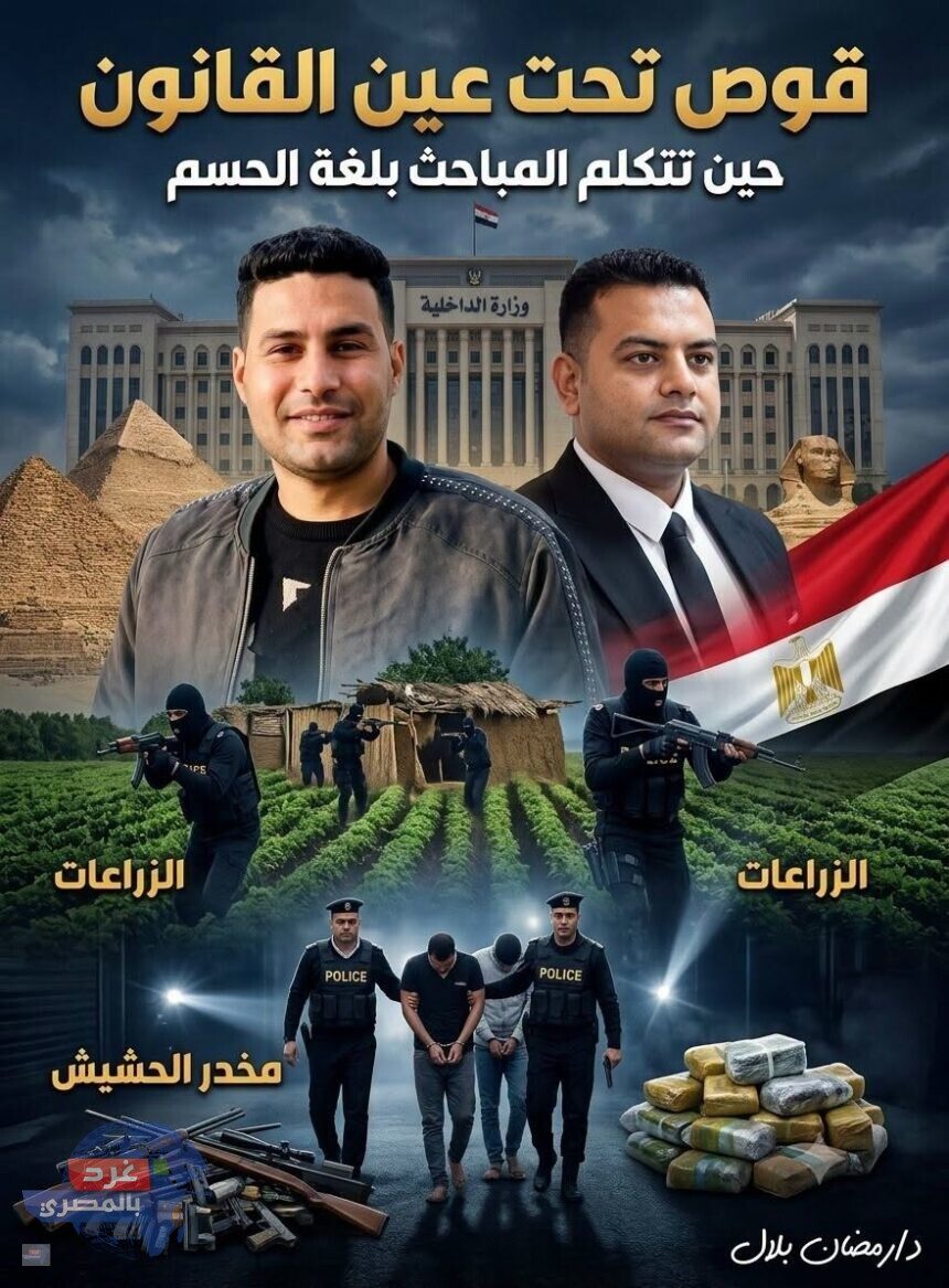 قوص تحت عين القانون