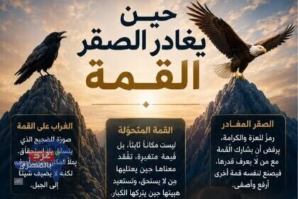 حين يغادر الصقر القمة