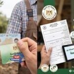 العمالة غير المنتظمة