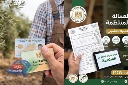 العمالة غير المنتظمة
