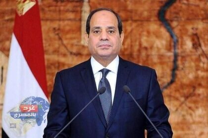 دعم محطات الصرف الصحي بالإسكندرية ودمياط