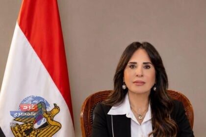 مشروعات المياه والصرف الصحي