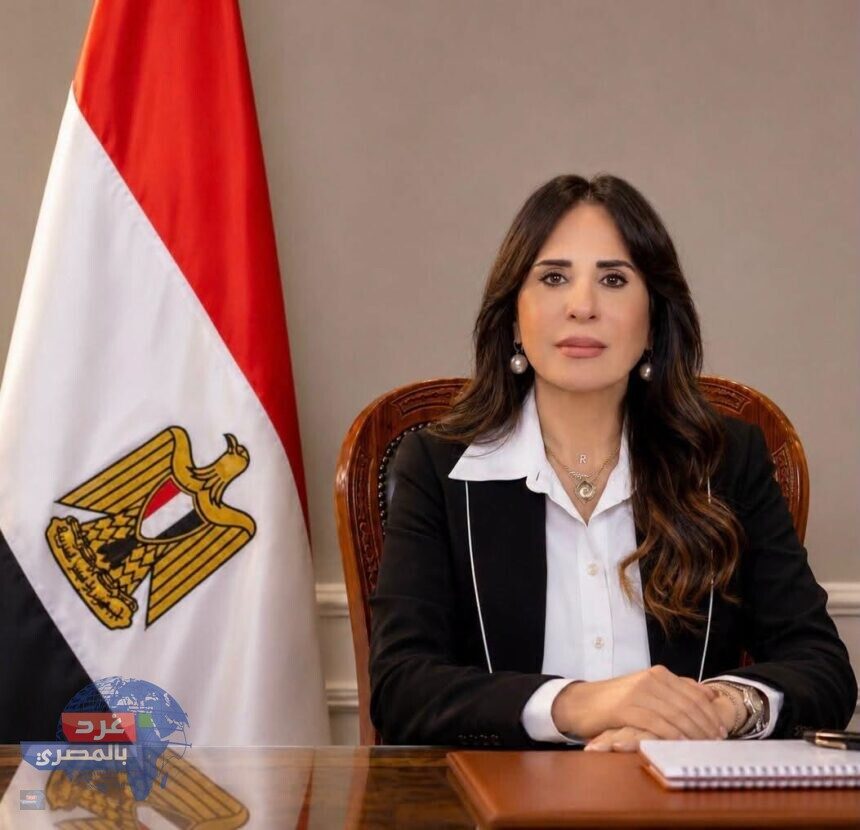 مشروعات المياه والصرف الصحي