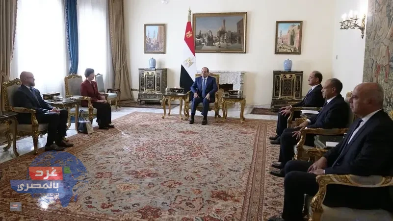 عاجل: السيسي والبنك الآسيوي يتفقان على ضخ استثمارات جديدة في الطاقة والنقل