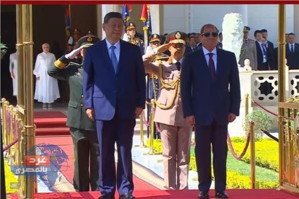 مباحثات السيسي والرئيس الصيني
