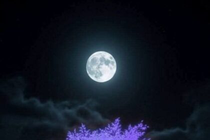 سلالة البيان قصيدة دكتور رمضان بلال