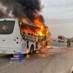 تفحم الهيكل بالكامل
