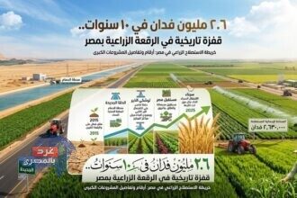 استصلاح الأراضي الزراعية بمصر
