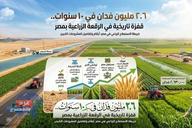 استصلاح الأراضي الزراعية بمصر