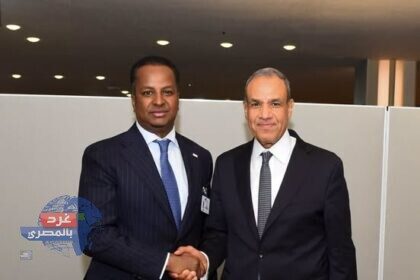 وزير الخارجية يبحث مع نظيره الصومالي
