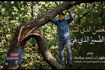 الغصن الذي كُسر والضمير الذي بقي - أ.د. أحمد سلامة