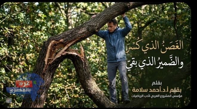 الغصن الذي كُسر والضمير الذي بقي - أ.د. أحمد سلامة
