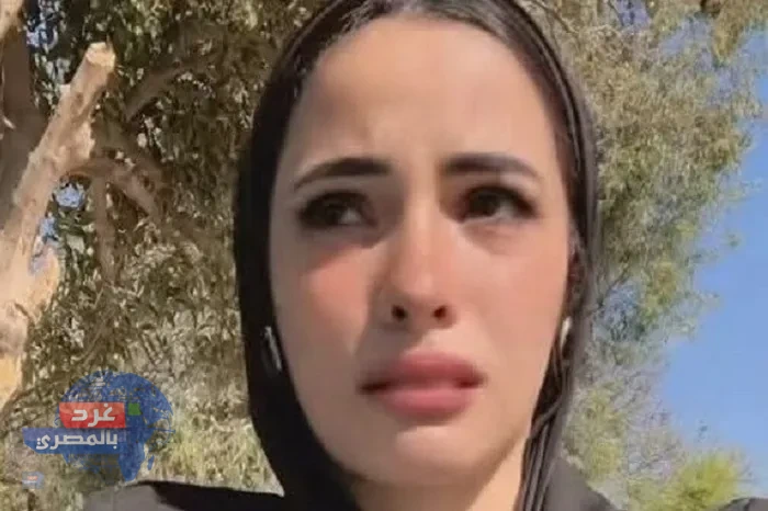 «دينا عزت»