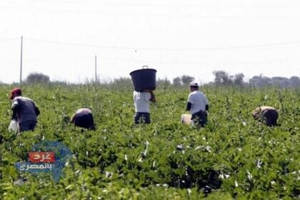 ننشر تفاصيل مشروع قانون لحماية الفلاحين والصيادين الذي تقدم به النائب أحمد السبكي لإنشاء صندوق رعاية يوفر معاشاً شهرياً 3 آلاف جنيه وقروضاً حسنة