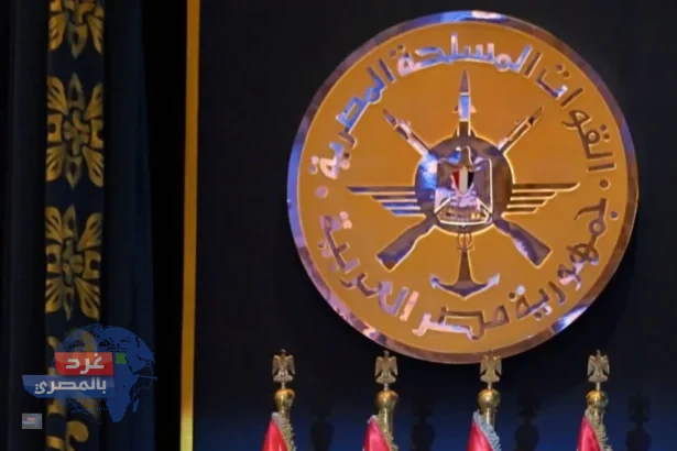 رسائل السيسي بذكرى أكتوبر الـ53 لحماية الدستور والوعي غرد بالمصري