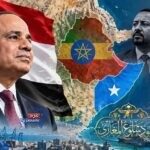 التحركات المصرية في الصومال والتعاون الدفاعي في القرن الإفريقي والبحر الأحمر