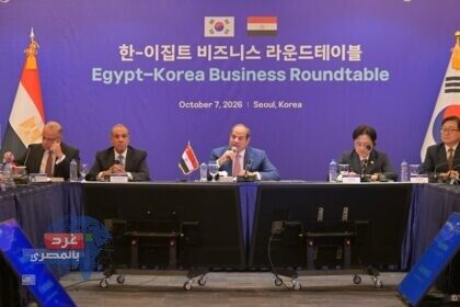 السيسي في مائدة مستديرة