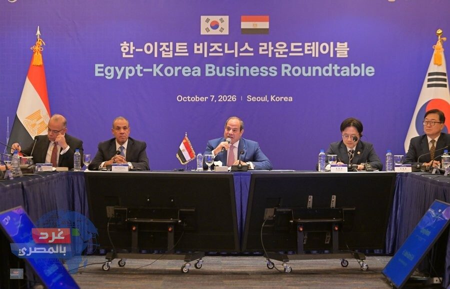 السيسي في مائدة مستديرة