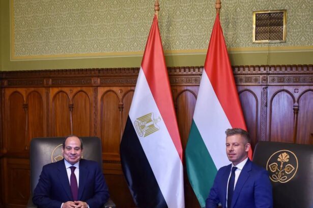 الرئيس عبد الفتاح السيسي ورئيس وزراء المجر بيتر ماتشار خلال المؤتمر الصحفي المشترك في قمة بودابست بمقر البرلمان المجري
